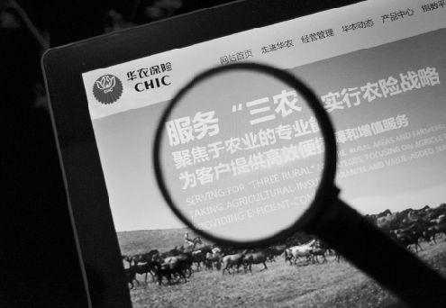 【推荐】华农保险上半年亏2亿偿付能力下滑手续费及佣金上涨三成-华农保险河北分公司