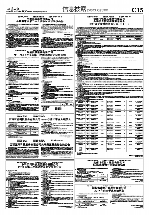 【推荐】华塑控股股份有限公司十届董事会第二十九次临时会议决议公告-四川南充天歌服装有限公司