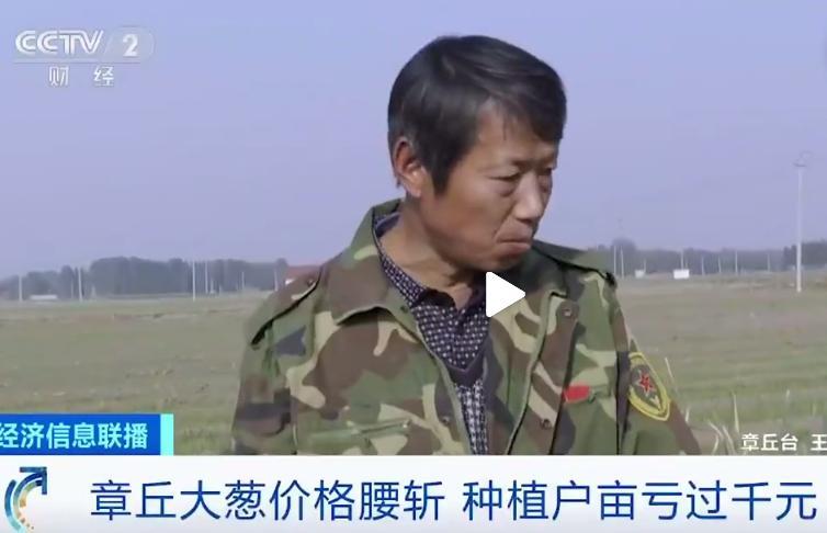 山东大葱价格腰斩种植户亩亏过千元！咋回事？-大葱的成本多少钱