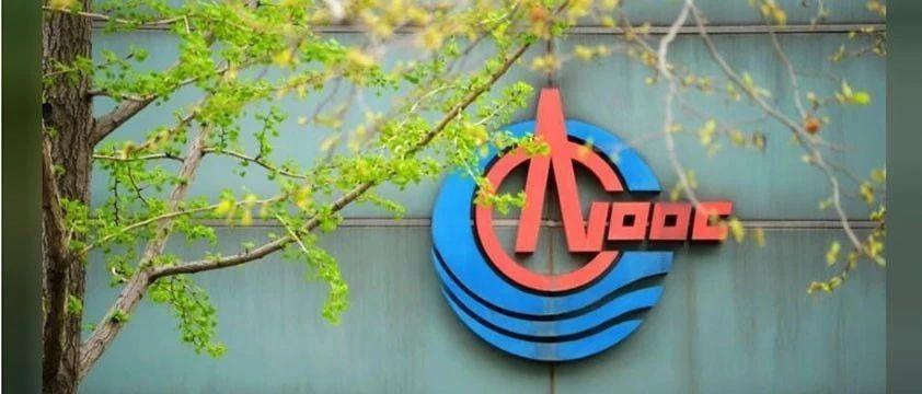 全员劳动生产率273万元人，中国海油到底是怎样的一家企业？-中海油有多少员工