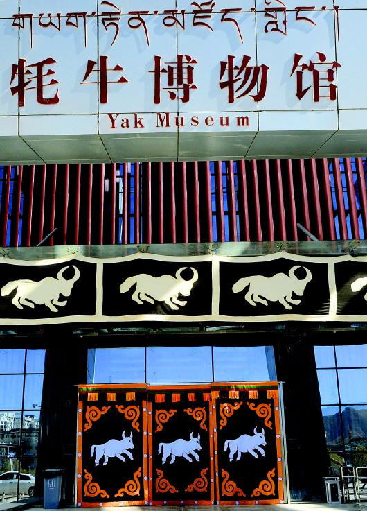 “老牦牛”一个汉族干部文化援藏记-山东天宝建安工程有限公司