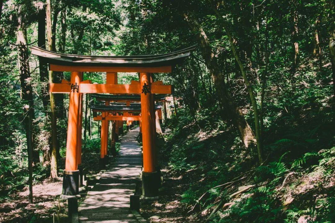 日本神社引入移动支付，“扫一扫”即付香油钱…网友：说好的仪式感呢？-700日元多少人民币