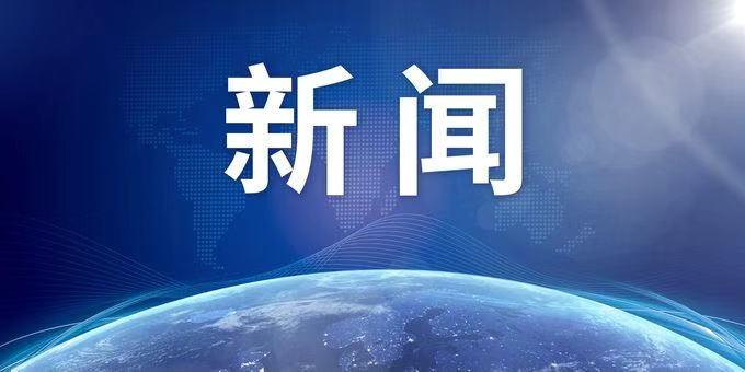 【推荐】中国铜业有限公司副总裁王运正被查-斗南锰业公司