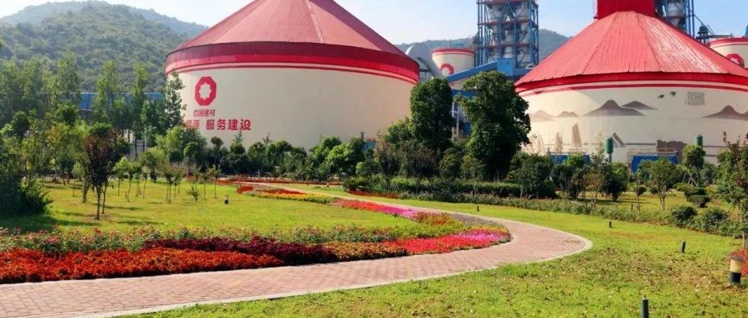春风十里，一起来我们的工厂“云踏春”吧-湖北青松逾越医药投资有限公司