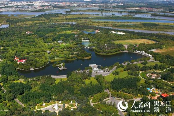 春季来龙江观鸟赏春光黑龙江省文旅厅推荐十大观鸟湿地景区-江苏小天鹅三江电器制造有限公司
