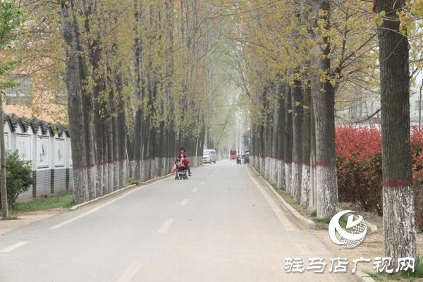 上蔡县栗庄村：群众眼中的“明星村”-李基金