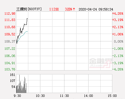 三棵树大幅拉升2.43%股价创近2个月新高-三棵树合理股价是多少