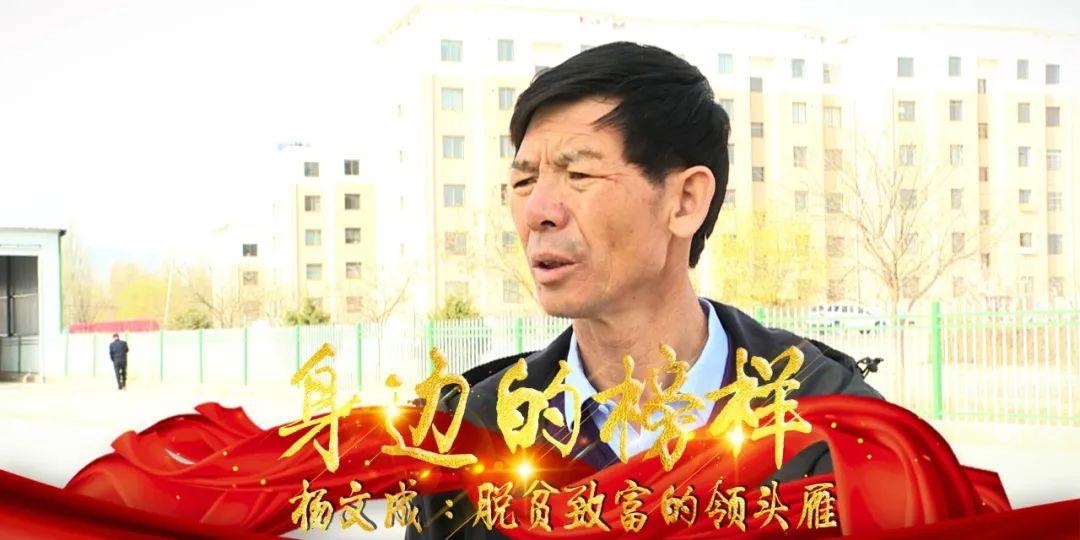 【身边的榜样】杨文成：脱贫致富的领头雁-销售收入3200万利润是多少