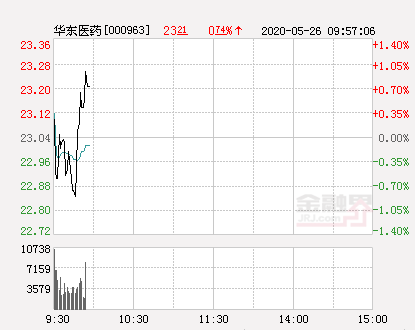 【推荐】华东医药大幅拉升091股价创近2个月新高华东医药股票最新资讯