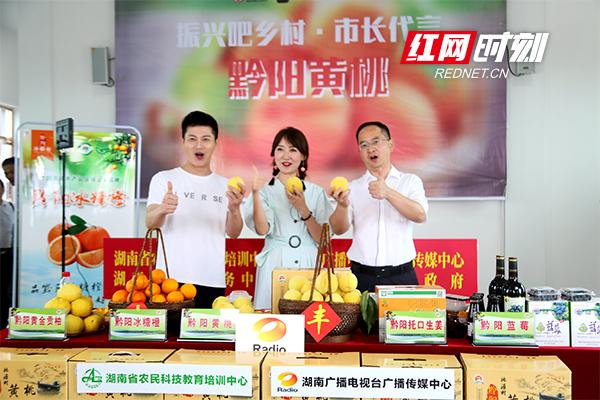 奥利给！洪江市长张龚为黔阳黄桃代言，一小时卖出15万斤-怀化黔城传媒公司