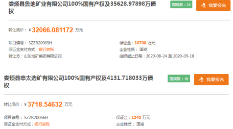 山东地矿“打包出售”两家破产公司100%国有产权底价仅为9毛钱-山东鲁地矿业公司