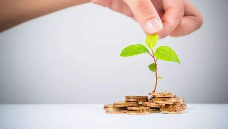 大产投基金瞄准“小而美”机构上海金浦跟随B站投VersaB轮数千万美元-金浦基金