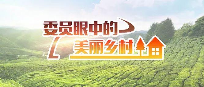 【推荐】1000多页40多万字这份重磅报告谈了一个主题上海集祥货运有限公司