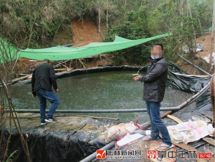 “矿鼠”盗采稀土涉案两千多万-2014年定南稀土事件抓了多少人