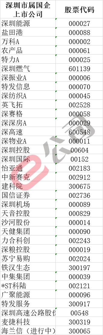 先买华为荣耀，后入苏宁易购……4万亿深圳国资为何总能精准“抄底”？-国资投资公司试点方案获批