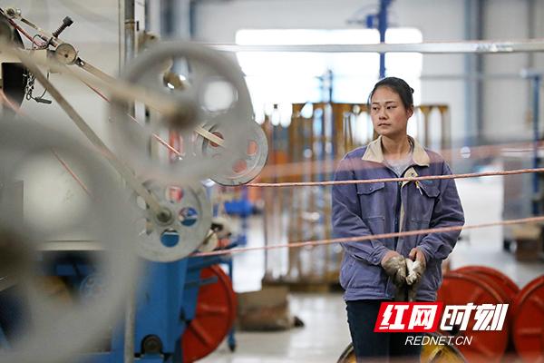 「图」衡阳市雁峰区：金杯电缆产销两旺，冲刺首季开门红-安徽金杯电缆有限公司