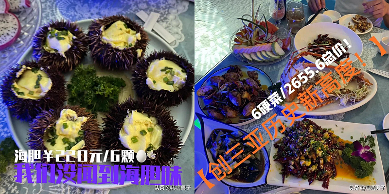 “三亚海胆”当事人说只为正当维权店家称手握证据将起诉消费者-花龙虾海南多少钱一斤