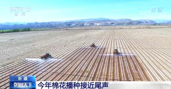 强迫症患者的福音来看新疆棉花和番茄机械种植现场-新疆新建番茄制品有限公司