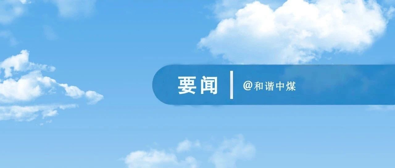 【推荐】中煤集团党委书记、董事长王树东，党委常委、副总经理马刚调研大屯公司-江苏大屯铝业有限公司总经理