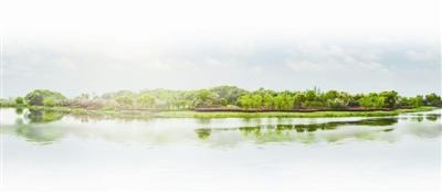 清水源业绩增长“后劲不足”-河南清水源科技股份有限公司股东