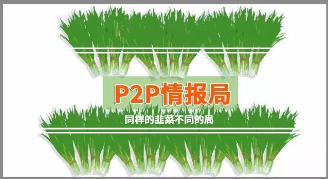 一个普通网贷投资人的自白-荷包金融投100能挣多少