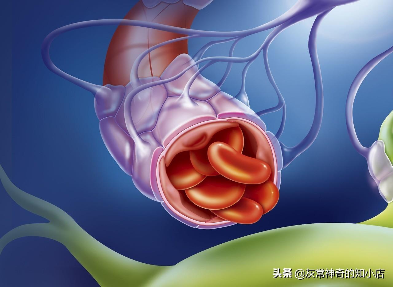 吸烟会对吃药产生什么样影响？-打个瘦脸针和溶解酶能抽烟吗