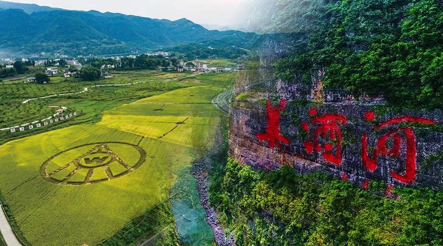 川黔之争本质争的是什么？-维维收购剑南春多少股份