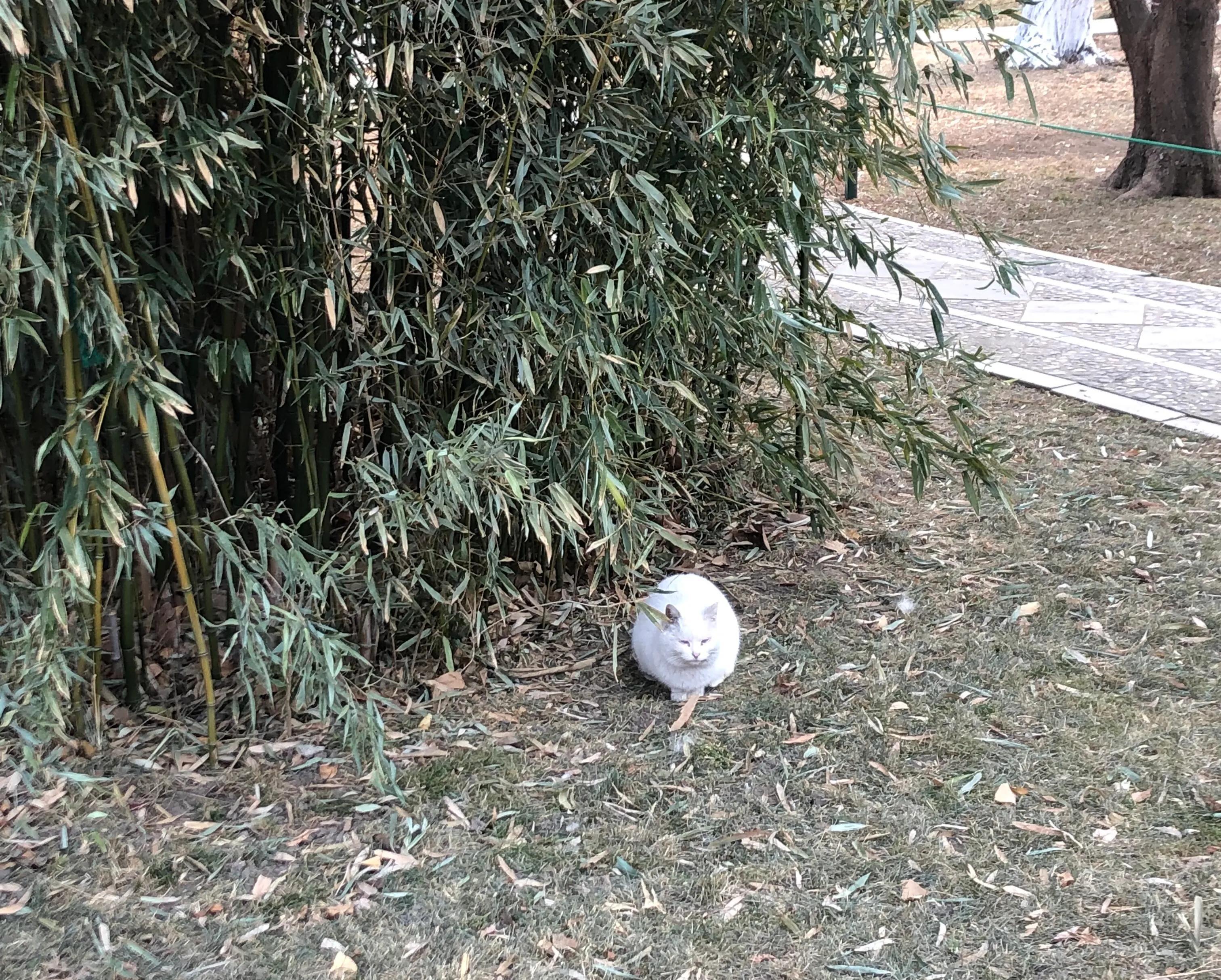 春节前最后一天被辞退，让月薪过万的我这个年可怎么过-公司春节前劝退