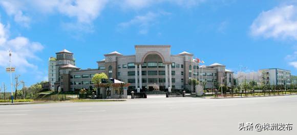 “株洲民营企业50强”发布，唐人神问鼎榜首-株洲唐人神家具有限公司