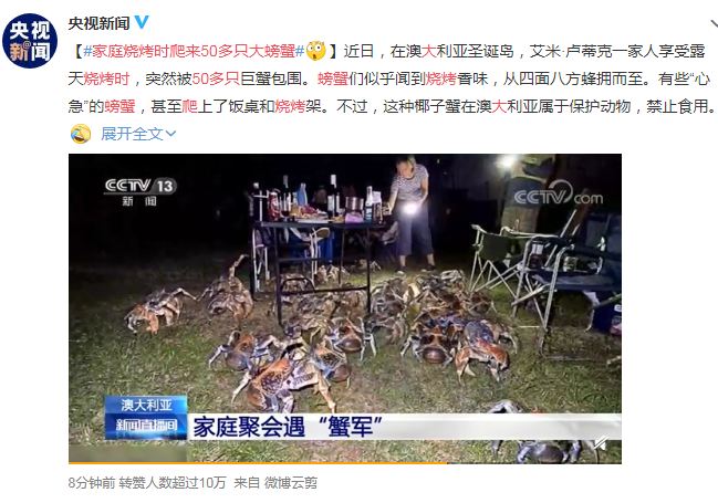 9000元一只的椰子蟹，在澳大利亚竟成群结队爬上人们的餐桌？-一只椰子多少钱