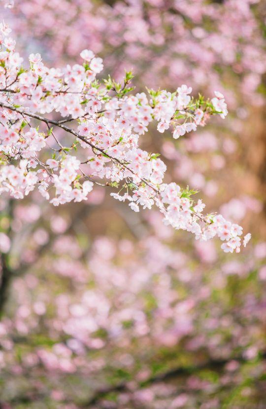 「积累」初中语文700组易错字，赶紧收藏-上海景？膊聘蛔什？管理有限公司