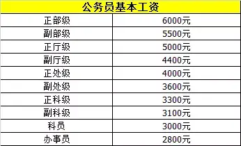 （最新）2020公务员工资套改等级标准对照表-公务员副局长工资表有多少