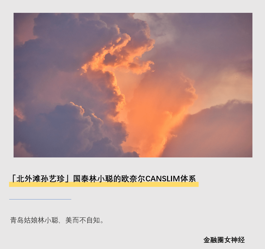 「北外滩孙艺珍」国泰林小聪的欧奈尔CANSLIM体系-欧奈尔基金