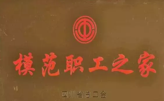 此处当有掌声！为这些顶呱呱的娘家人点赞！-国电深能华蓥山发电有限公司