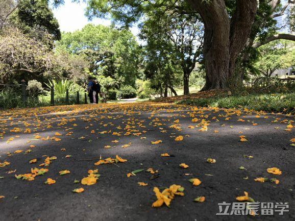 澳洲留学生租车攻略，赶紧get-澳洲哪家租车公司比较好