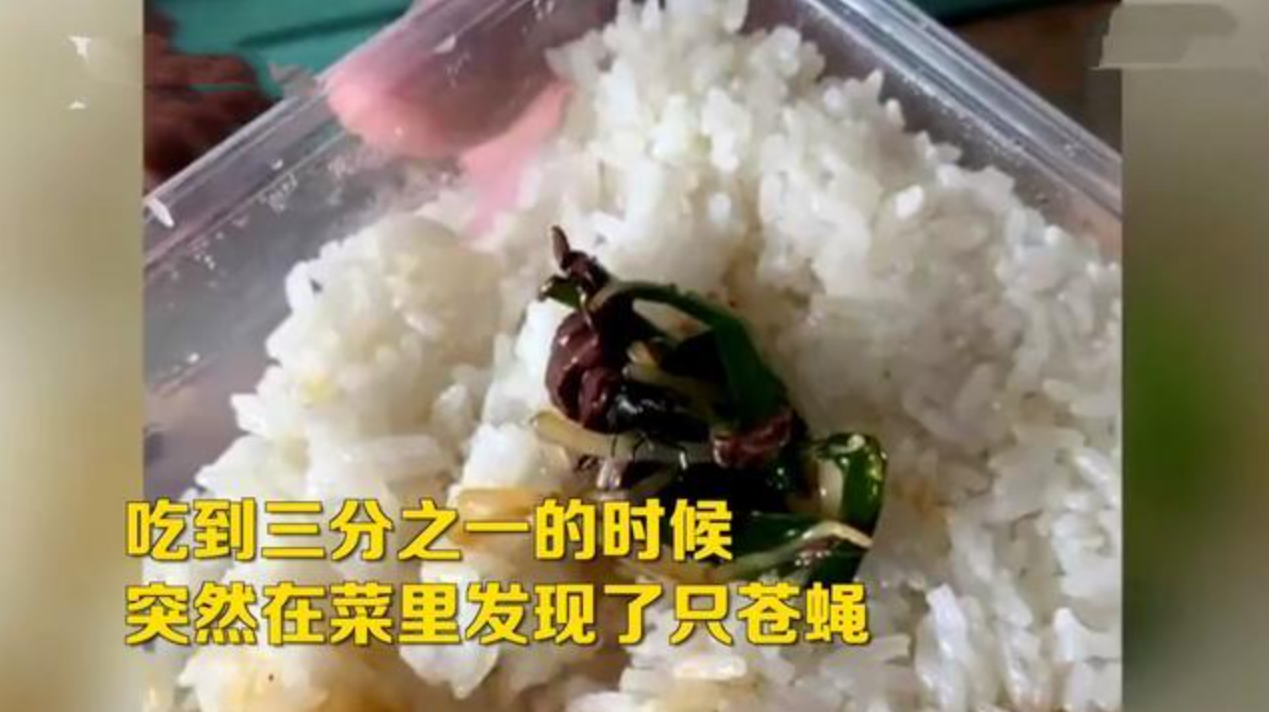 男子叫外卖吃到大苍蝇，索赔2000，老板：你叫卫生局来处理-超市食品苍蝇索赔多少