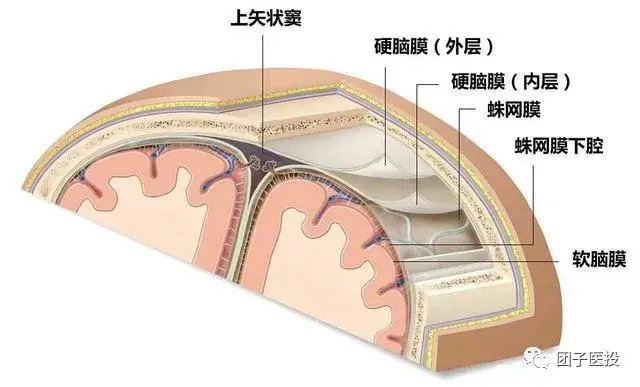 【推荐】冠昊生物VS正海生物冠昊生物多少员工