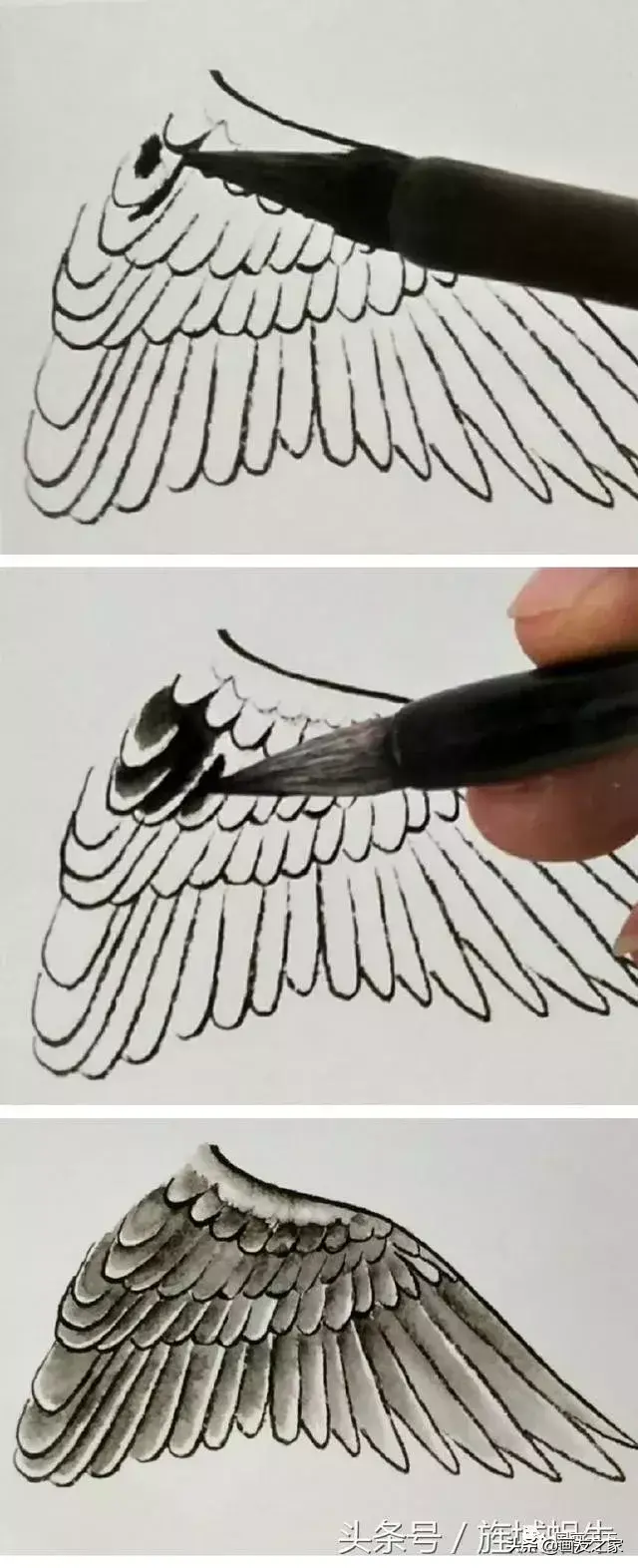 「工笔技法学习」鸟类羽毛的立体渲染技法-海南复达钛白有限公司