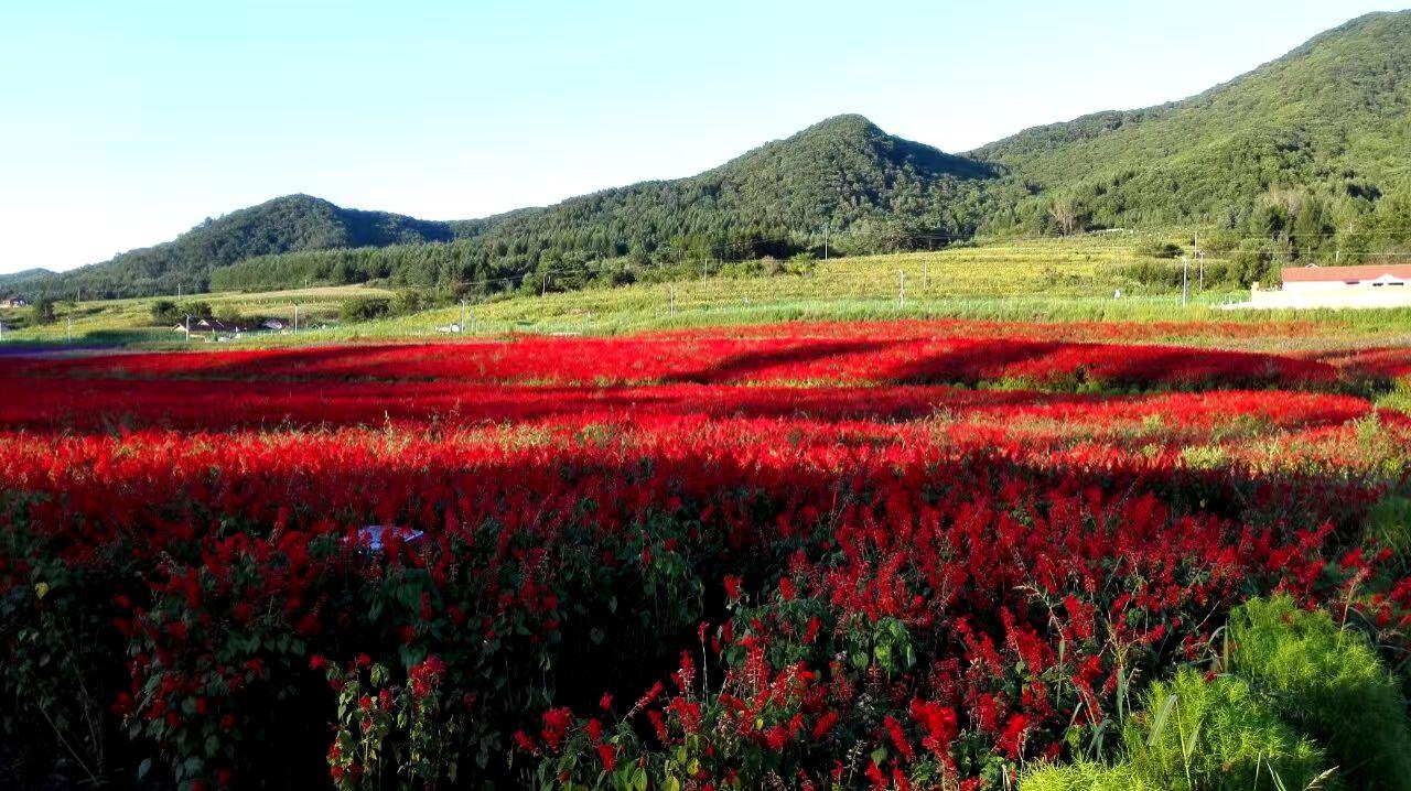 此心安处即吾乡留在记忆中的山城通化-通化市排在中国多少名