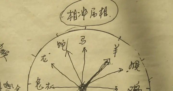 虎的最佳属相婚配表？