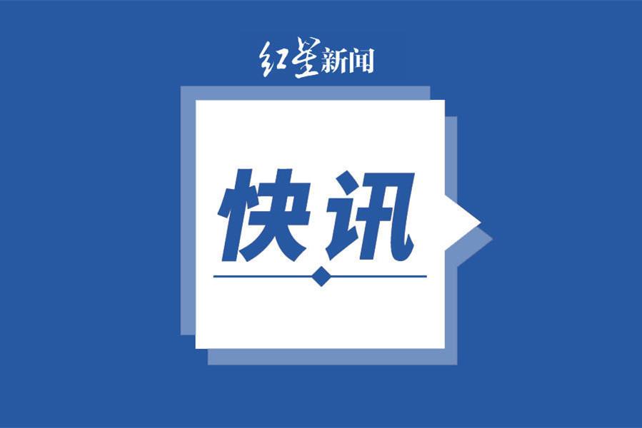 大唐新能源股份有限公司原发展规划部主任杨岗被“双开”-赤峰大唐集团公司