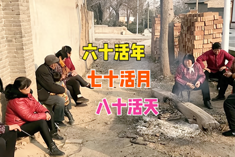 年是138棋牌手机版
意思（俗语）