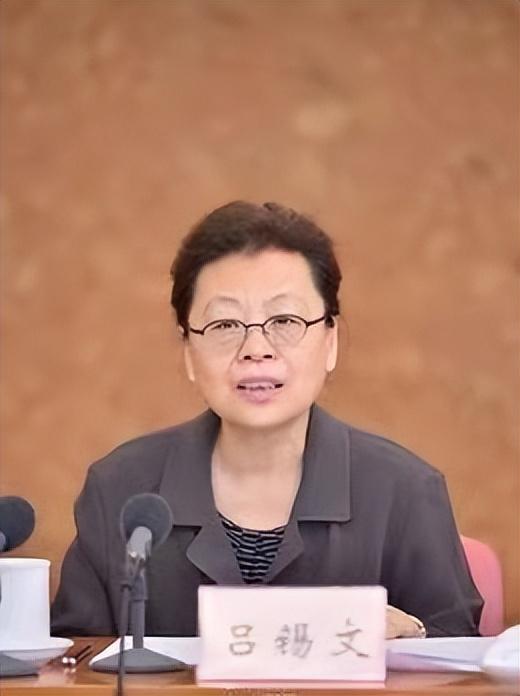 把北京搅得天翻地覆！吕锡文书记犯下的恶行，远比我们想的更恶劣-十八大后捉了多少人