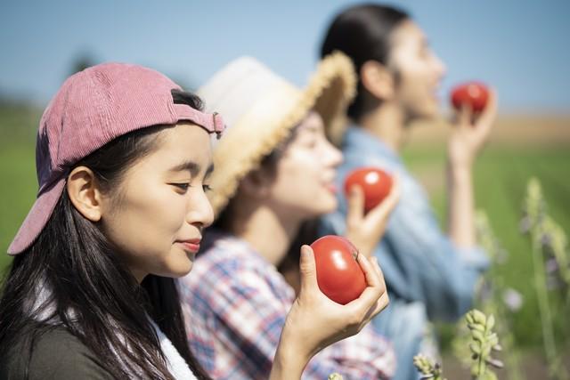 请你坚信，银行人在其他工作领域是很能打的！-银行任务指标多少
