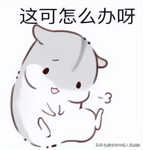 “营”在益企，“商”定纠纷——新泰市法院前端发力，调解八起企业案件见实效-浙江新泰水产有限公司裁定书