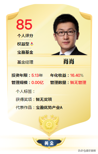 崔莹、董承非奔私后，宝盈基金肖肖也去了-肖肖基金经理天天基金
