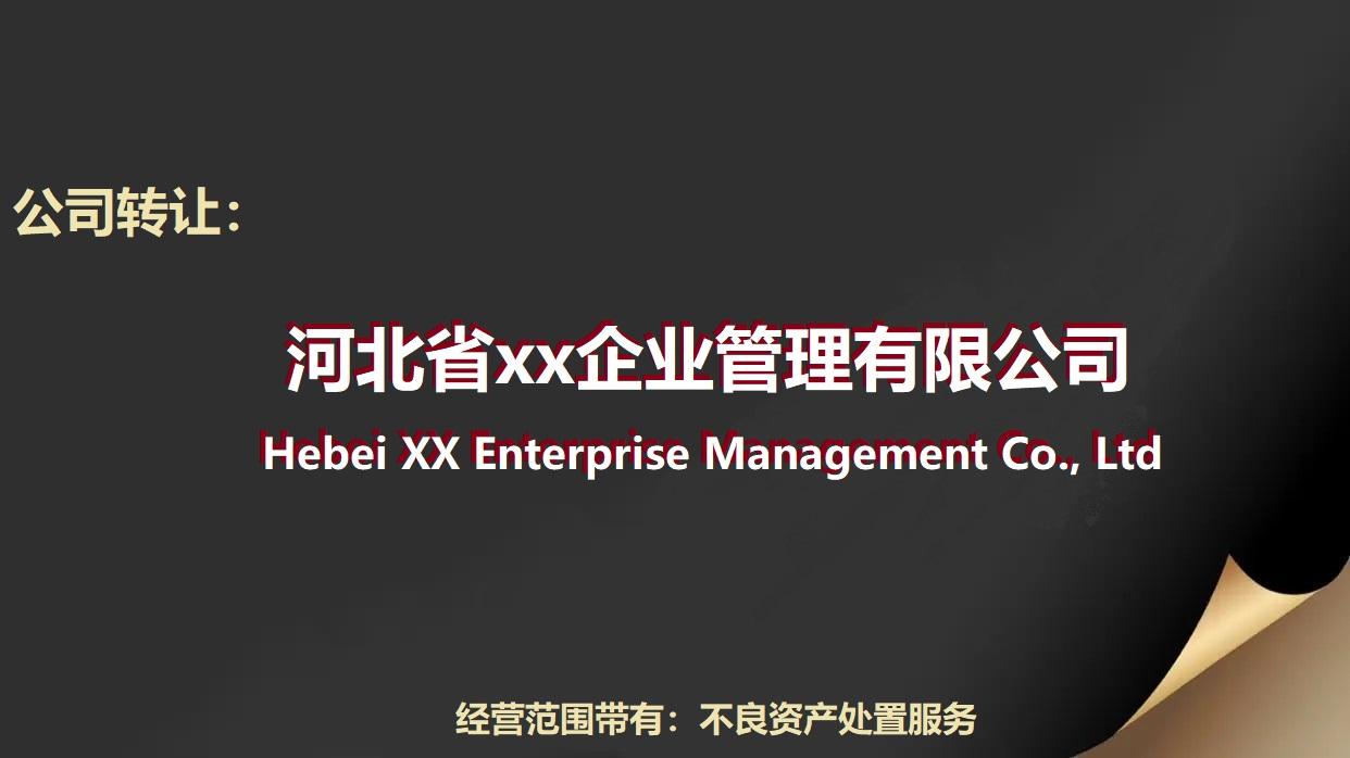 “不良资产处置公司”批复设立-成立一家小型不良资产处置公司