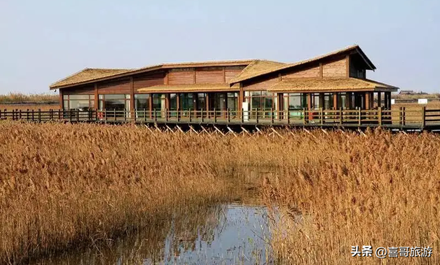太阳岛旅游度假区在哪里，太阳岛度假区旅游攻略（上海周边旅游景点有哪些）