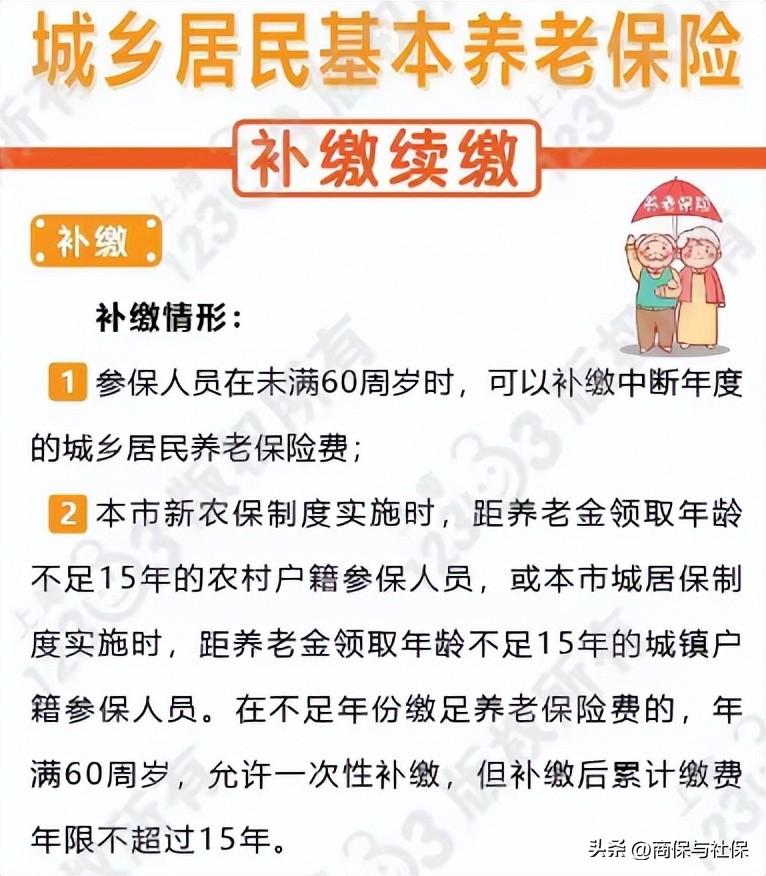 2023年城乡居民养老保险一次性补缴有何要求？一文了解-今年养老保险交多少钱2015新年