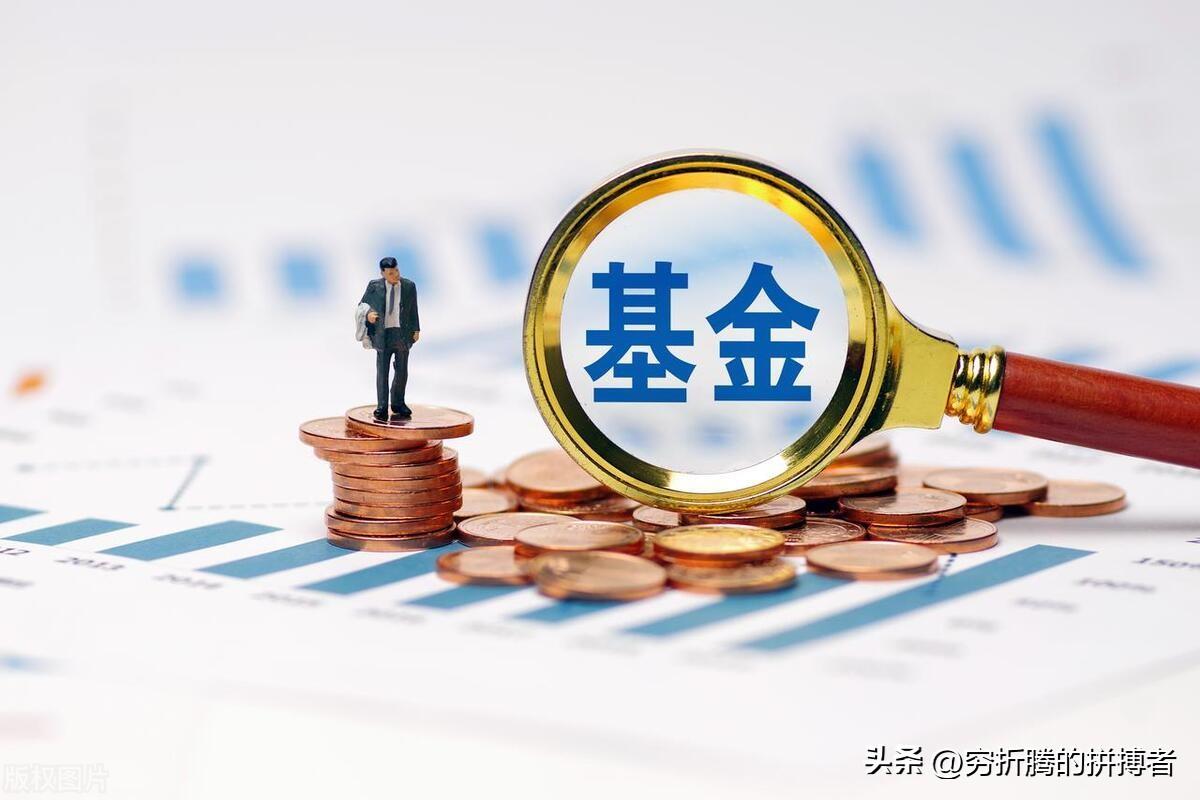 财富自由之路（菜鸟篇）——基金（二）-基金和股票一样吗